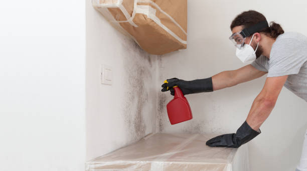 Professional Bathroom Mold Removal technician working in Roslyn, PA